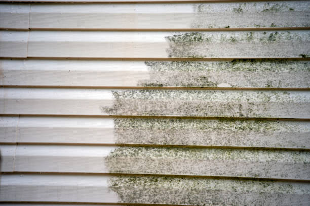 Best Custom Trim and Detailing for Siding  in Monmouth Beach, NJ
